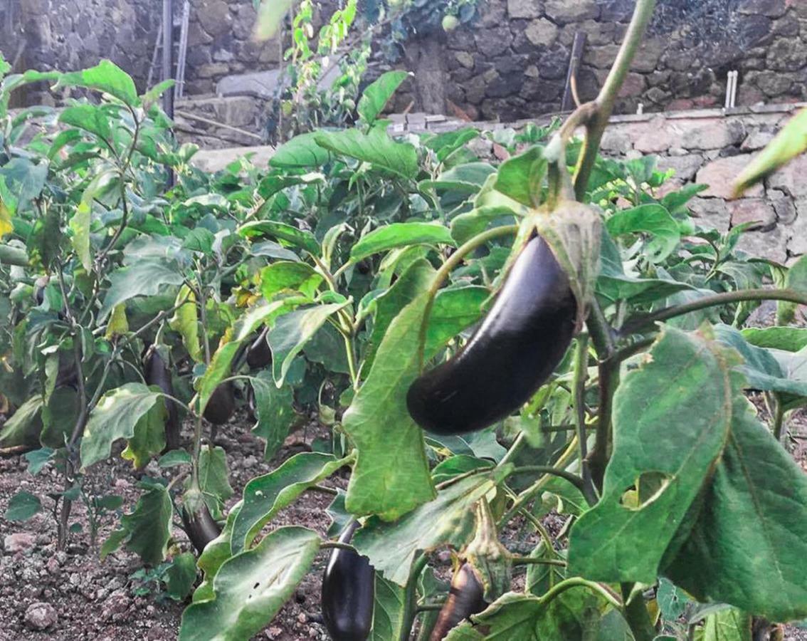 فندق وسبا أسوس أليس فارم البوتيكي Assos المظهر الخارجي الصورة