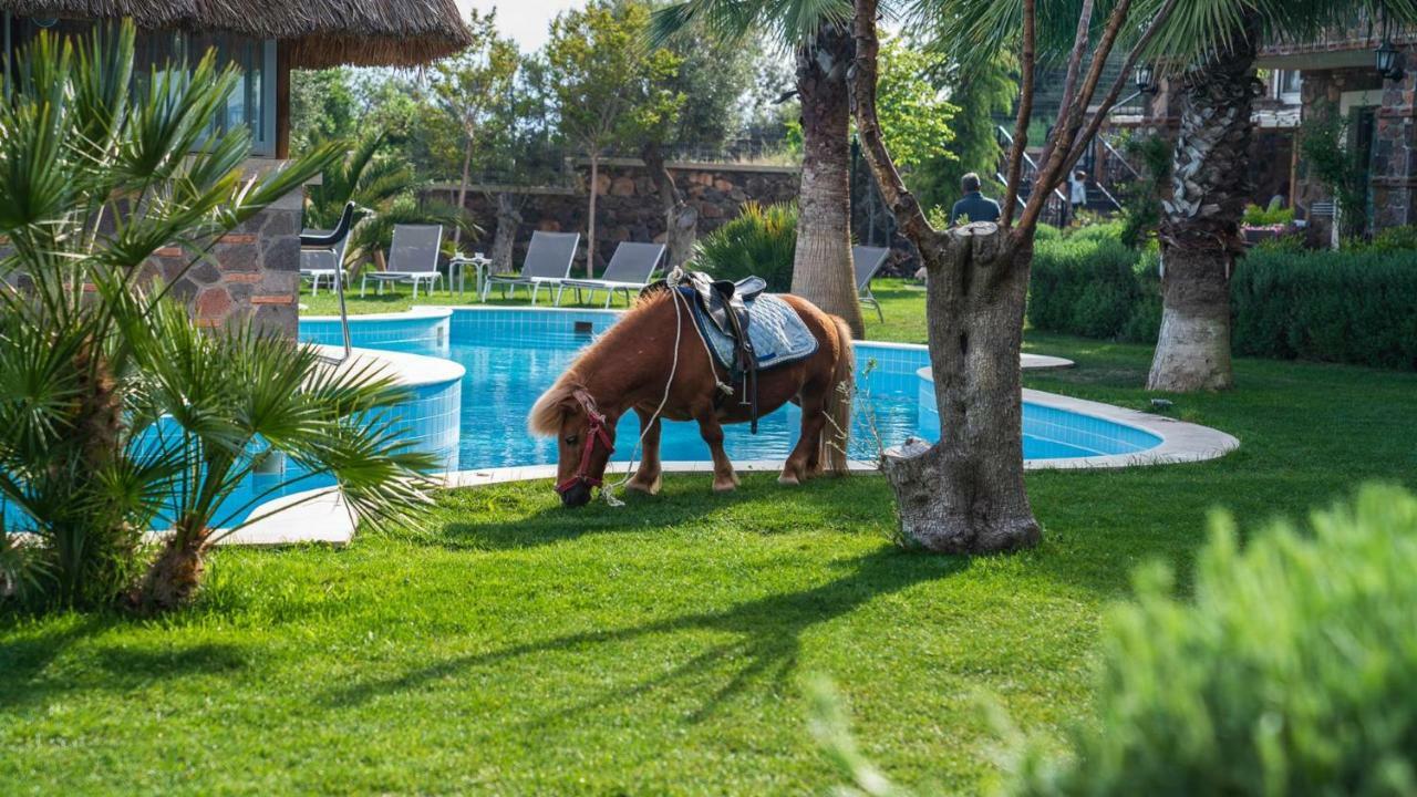 فندق وسبا أسوس أليس فارم البوتيكي Assos المظهر الخارجي الصورة